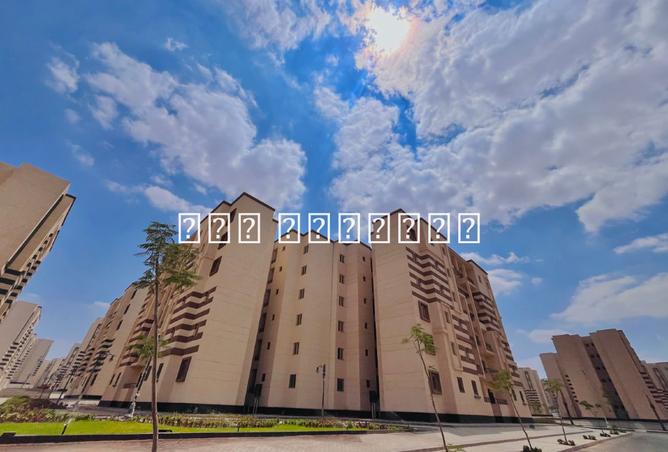 8054237 - صورة العقار 2
