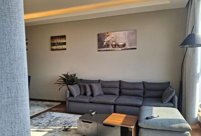 8450697 - Property Image 3