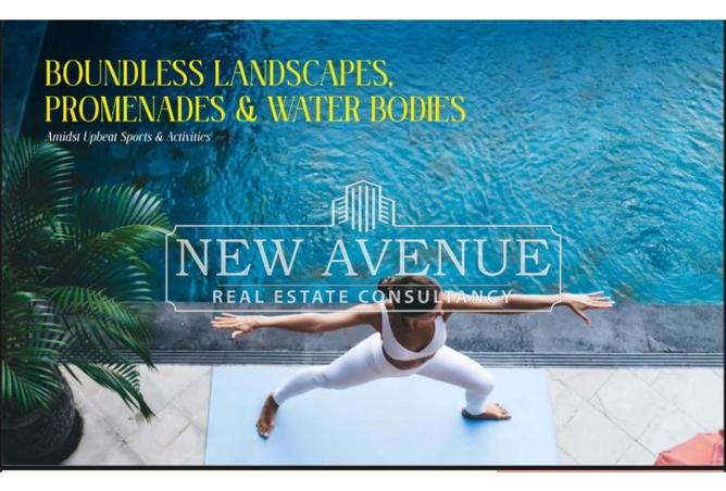 8338678 - Property Image 3