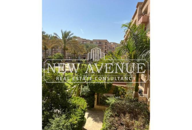 8093812 - Property Image 3