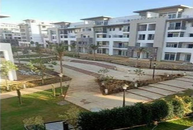 8400732 - Property Image 3