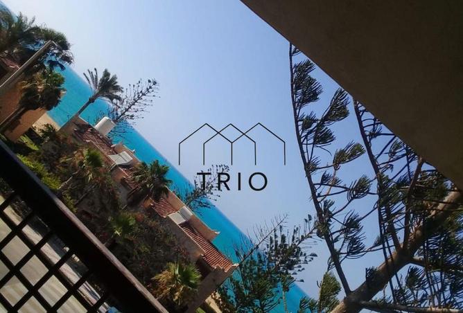 8413173 - صورة العقار 2