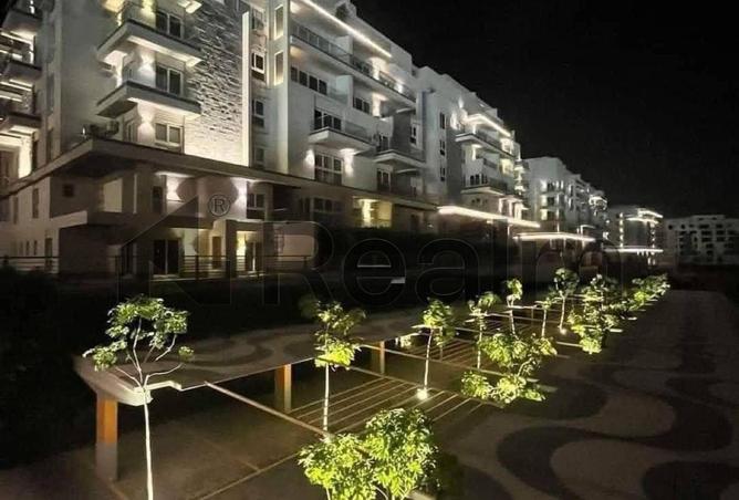 8316846 - Property Image 3