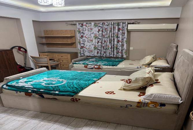 7995185 - Property Image 3