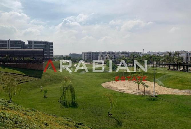 8296613 - Property Image 3