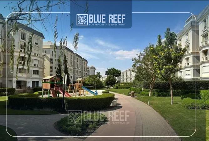 8407742 - Property Image 3