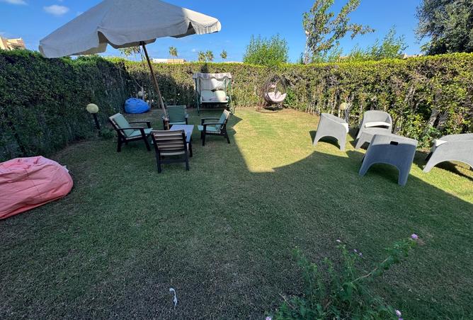 7920337 - Property Image 3