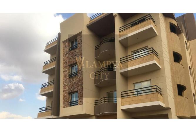 7974794 - Property Image 2