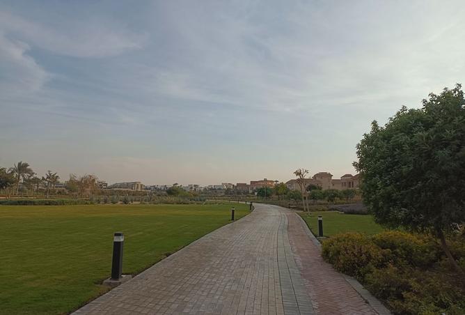 8037614 - صورة العقار 3