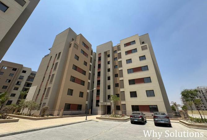 8380517 - Property Image 2