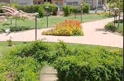 Apartment - 4 Bedrooms - 3 Bathrooms for sale in Madinaty - Cairo