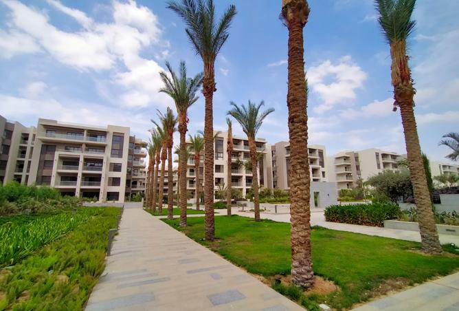 8044148 - صورة العقار 3