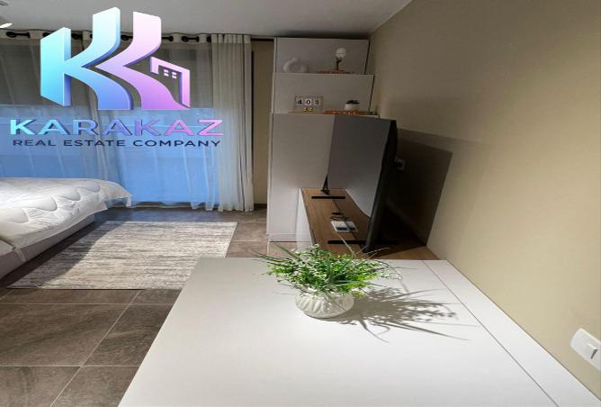 7995018 - Property Image 3