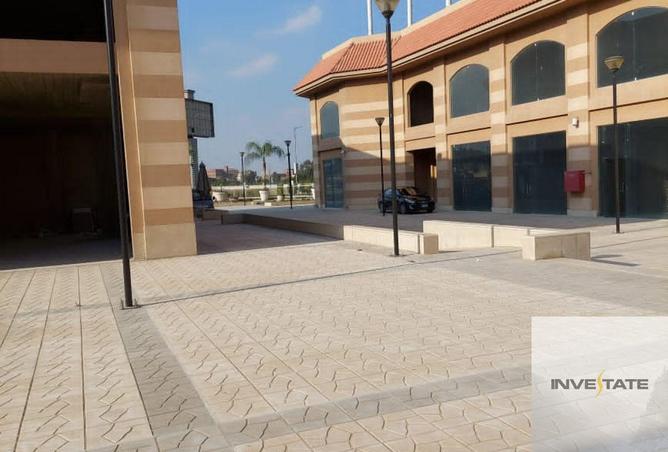 8080384 - الصورة الرئيسية للعقار
