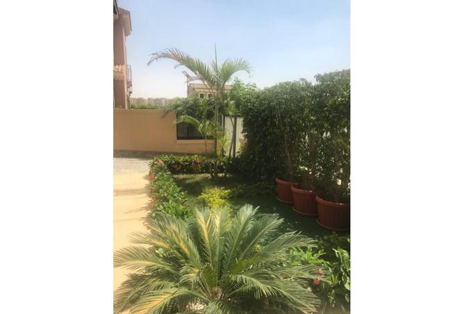 8126886 - Property Image 2