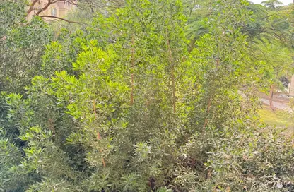 شقة - 3 غرف نوم - 2 حمامات للبيع في مدينتي - القاهرة شقة - 3 غرف نوم - 2 حمامات للبيع في مدينتي - القاهرة