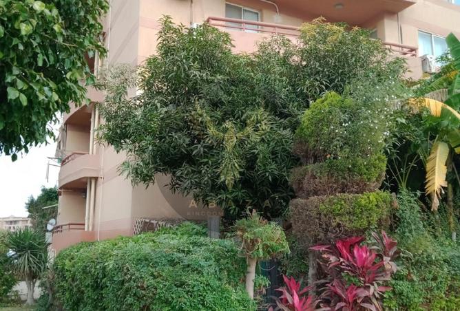 8451288 - Property Main Image