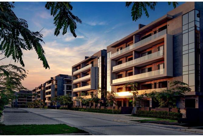 8291665 - Property Image 3