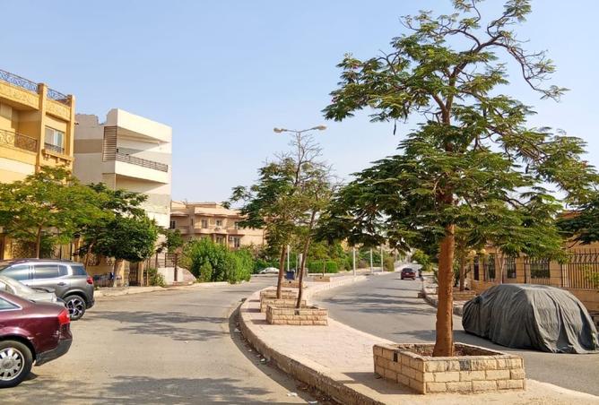 7902208 - صورة العقار 3