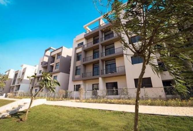 8072735 - Property Image 3