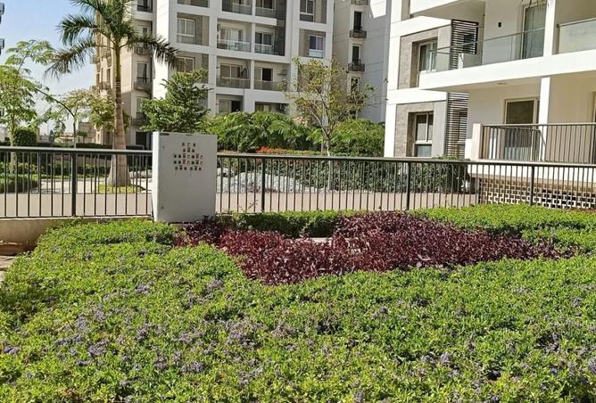 8064659 - صورة العقار 2