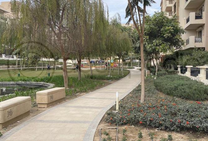 8390918 - Property Image 3