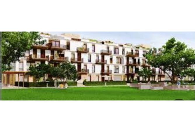 8230845 - Property Image 3