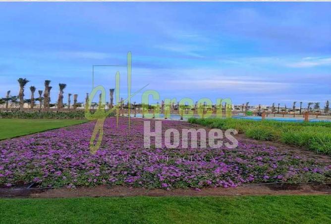 8271097 - Property Main Image