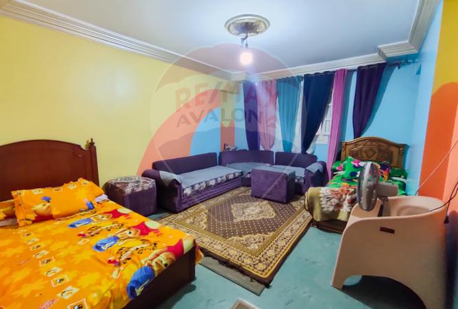 7971087 - Property Image 3