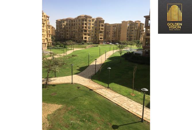 8535144 - Property Image 2