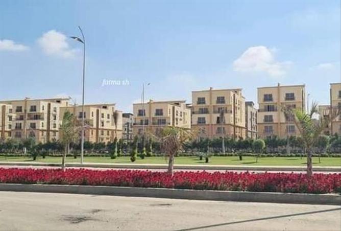 6809838 - صورة العقار 3