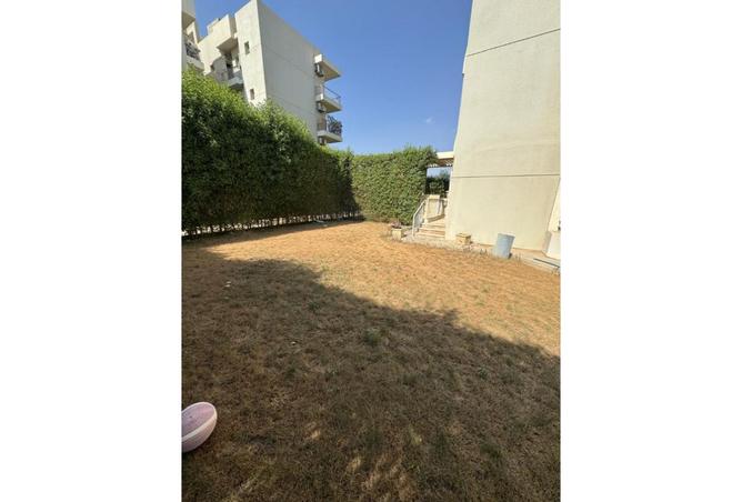 8193146 - صورة العقار 3