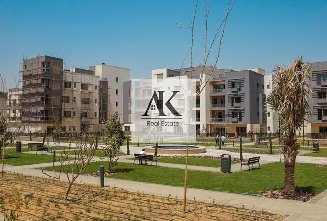 7937035 - Property Image 3