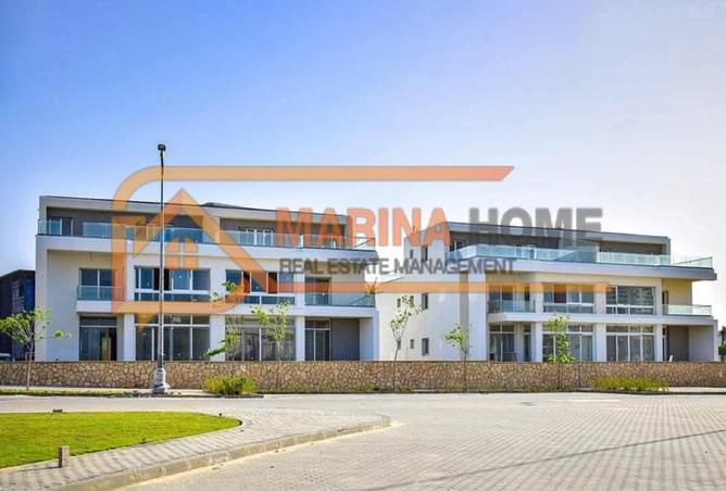 8062931 - Property Image 3