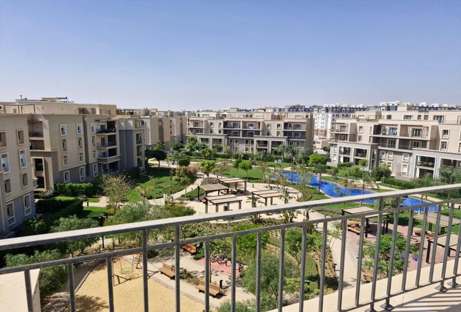 7969407 - صورة العقار 3