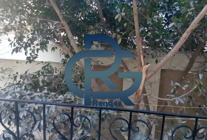 8059870 - صورة العقار 3