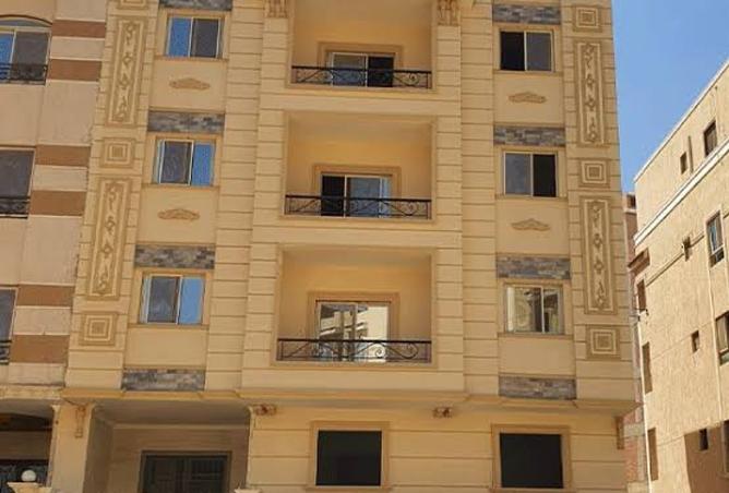 8448238 - Property Image 3