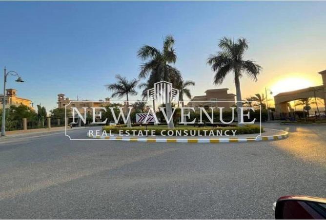 8187154 - Property Image 3