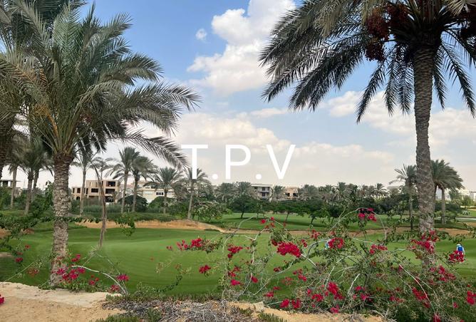 8139804 - صورة العقار 2