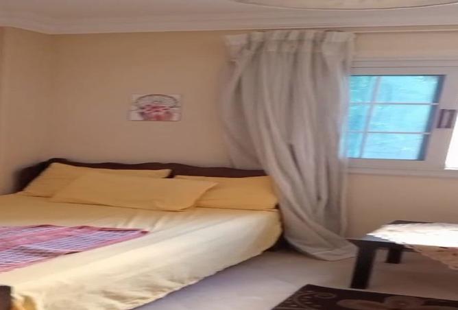 7895827 - Property Image 3