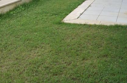 Duplex - 3 Bedrooms - 3 Bathrooms for sale in Palm Hills Village Gate - South Investors Area - New Cairo City - Cairo