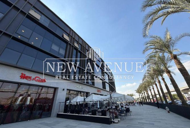 8205433 - Property Image 3