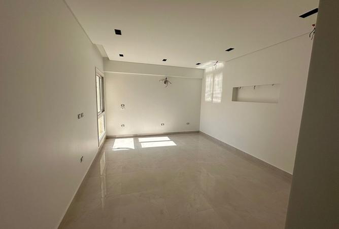 8263573 - Property Image 3