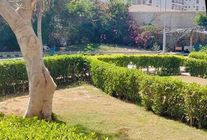 6595797 - صورة العقار 2