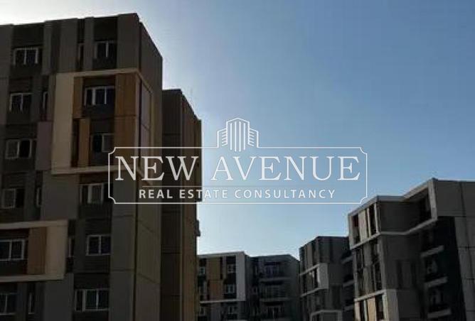 8459437 - Property Image 3