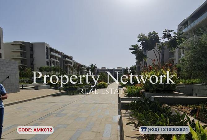 8060414 - Property Image 3
