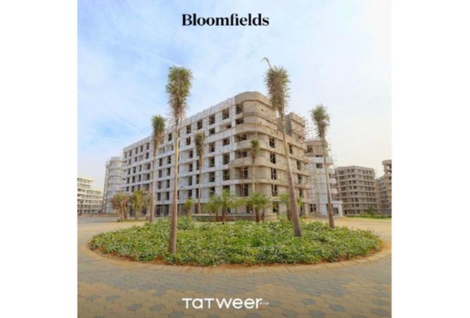 8185559 - Property Image 3