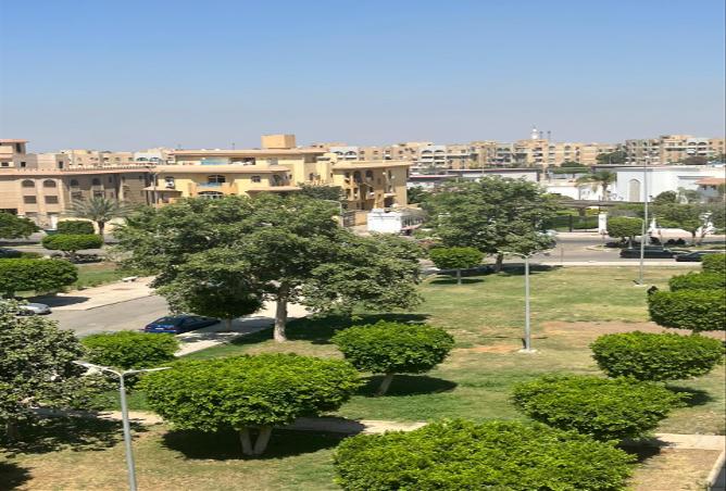 8000798 - صورة العقار 2