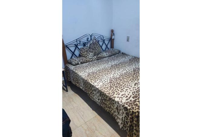 8163781 - Property Image 2