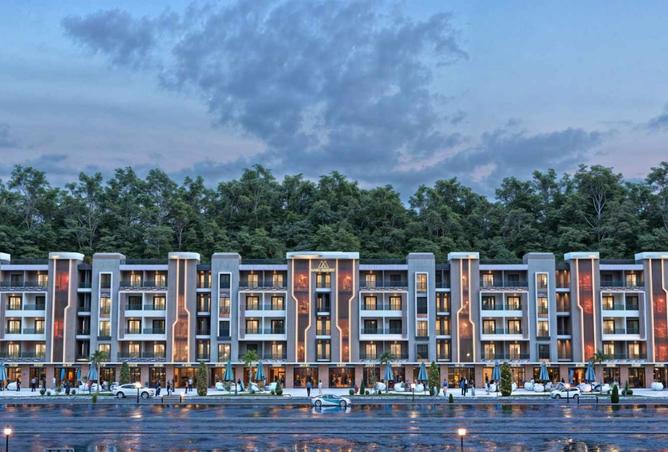 8182541 - Property Image 2